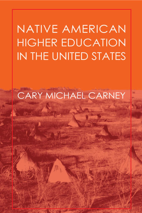 Cover image for book Native American Higher Education in the United States