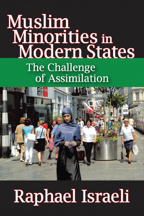 Cover image for book Muslim Minorities in Modern States