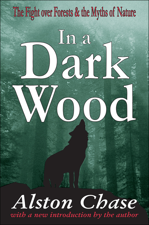Cover image for book In a Dark Wood