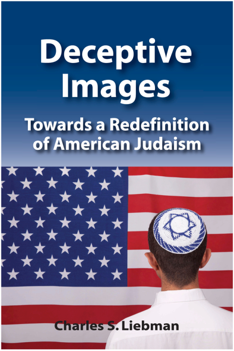 Cover image for book Deceptive Images