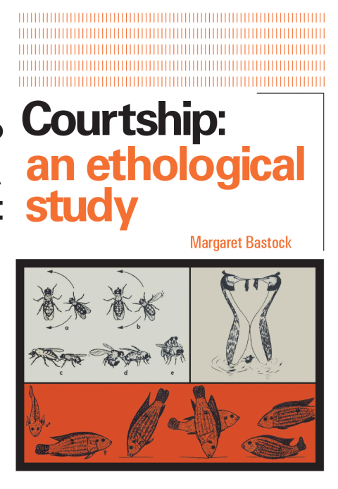 Cover image for book Courtship