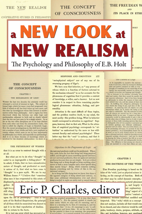 Cover image for book A New Look at New Realism