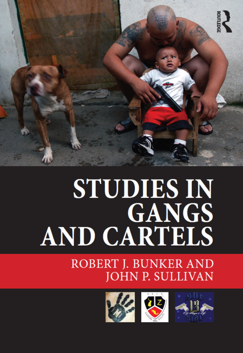 Cover image for book Studies in Gangs and Cartels