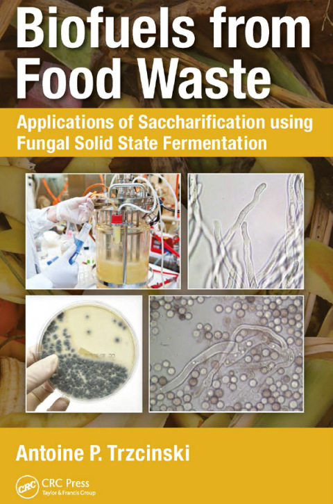 Cover image for book Biofuels from Food Waste
