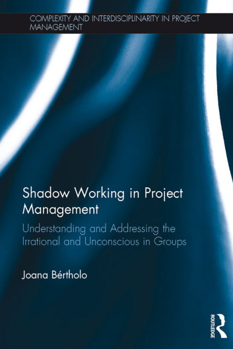 Cover image for book Shadow Working in Project Management