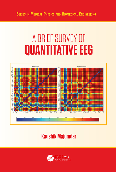 Cover image for book A Brief Survey of Quantitative EEG