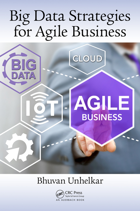Cover image for book Big Data Strategies for Agile Business