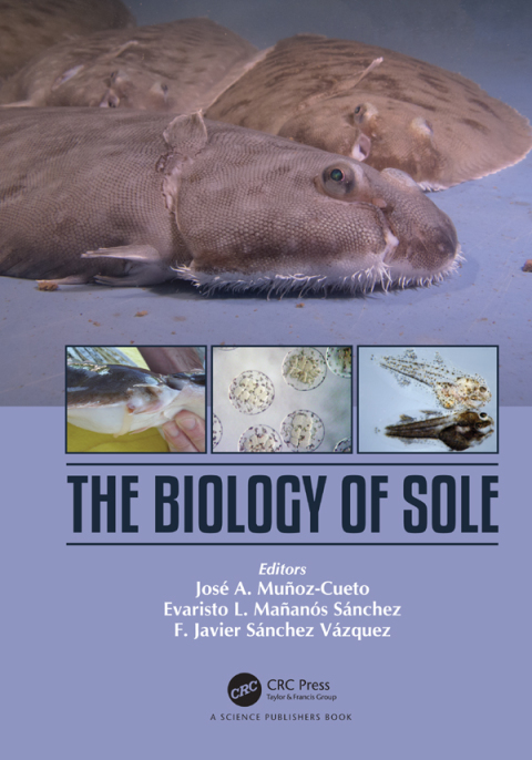 Cover image for book The Biology of Sole