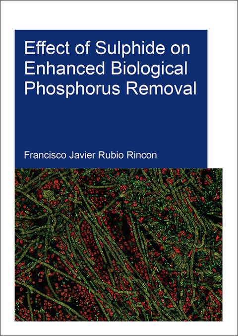 Cover image for book Effect of Sulphide on Enhanced Biological Phosphorus Removal