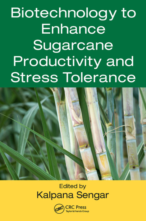 Cover image for book Biotechnology to Enhance Sugarcane Productivity and Stress Tolerance