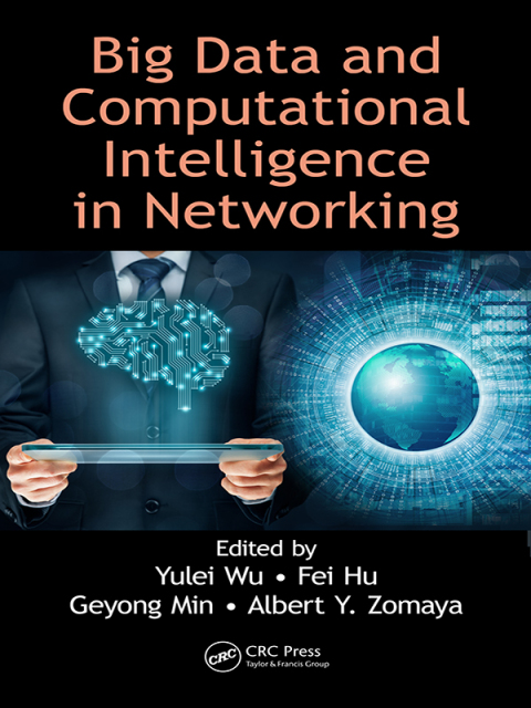 Cover image for book Big Data and Computational Intelligence in Networking