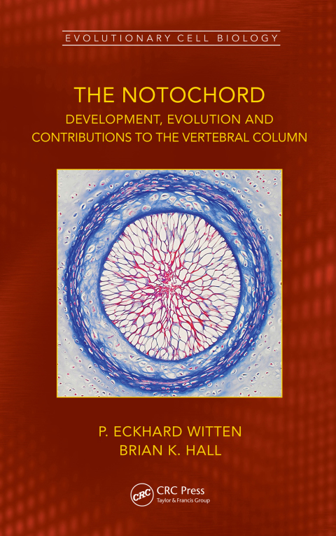 Cover image for book The Notochord