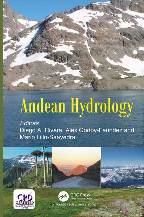 Cover image for book Andean Hydrology