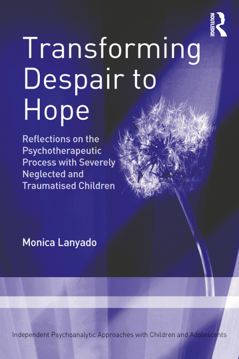 Cover image for book Transforming Despair to Hope