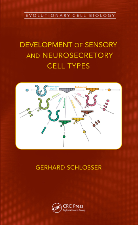 Cover image for book Development of Sensory and Neurosecretory Cell Types