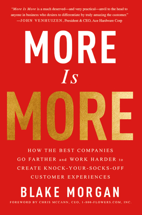 Cover image for book More Is More
