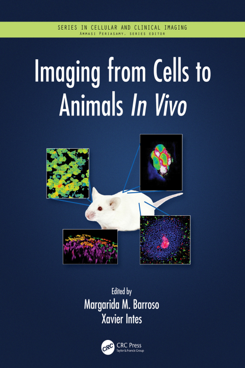 Cover image for book Imaging from Cells to Animals In Vivo