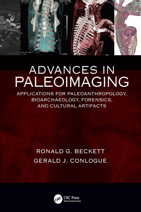 Advances in Paleoimaging 