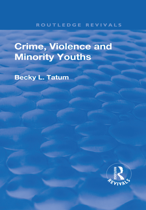 Cover image for book Crime, Violence and Minority Youths