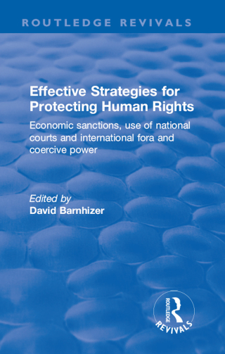 Effective Strategies for Protecting Human Rights