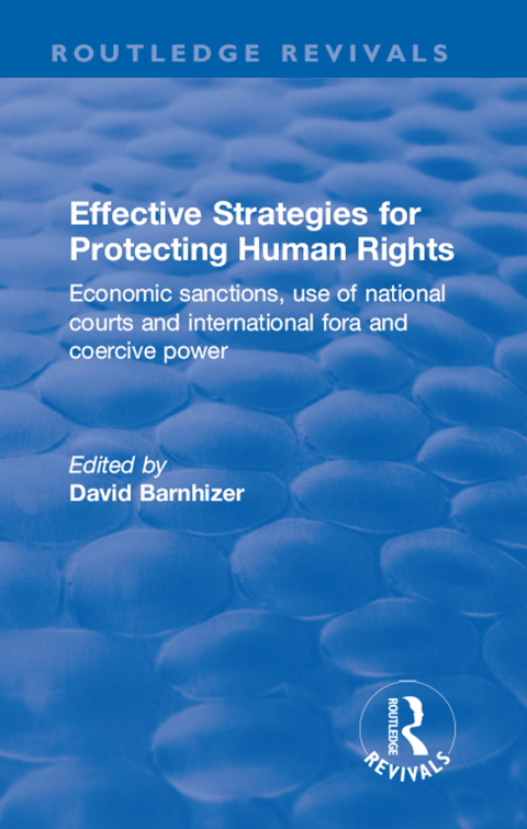 Cover image for book Effective Strategies for Protecting Human Rights