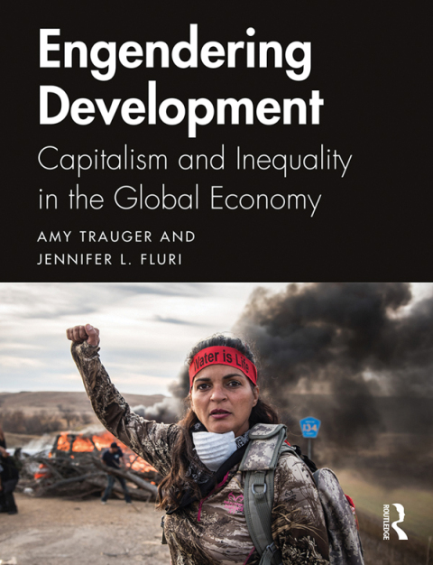 Cover image for book Engendering Development