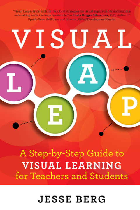 Cover image for book Visual Leap