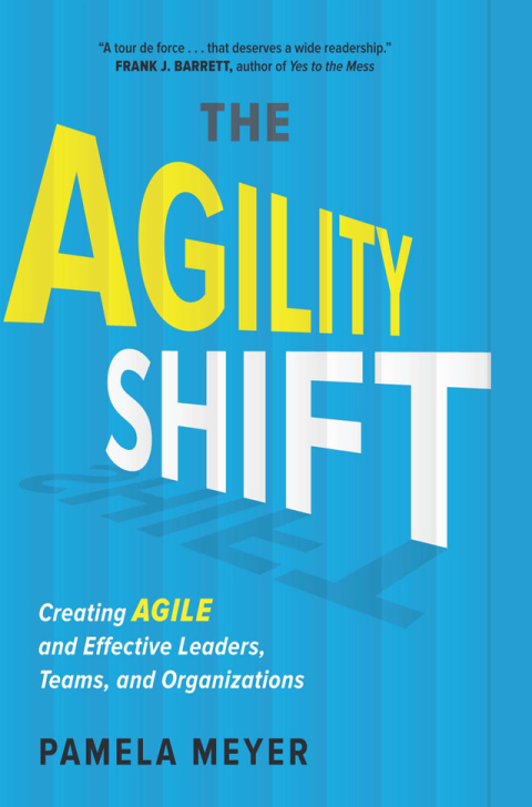 Cover image for book Agility Shift