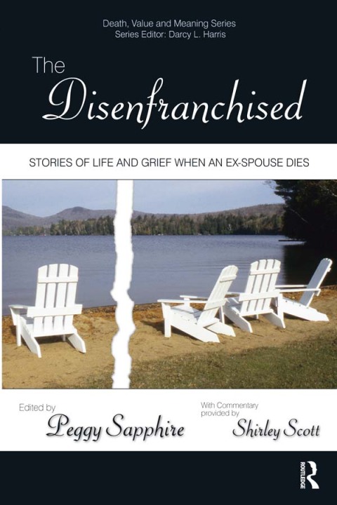 Cover image for book The Disenfranchised
