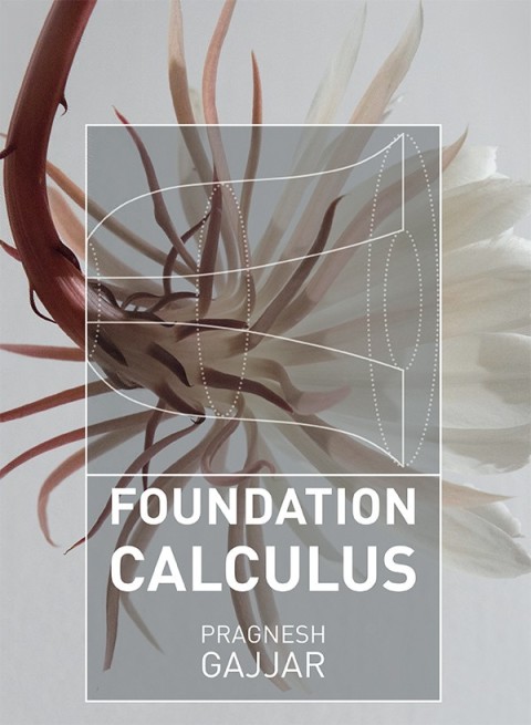Cover image for book Foundation Calculus