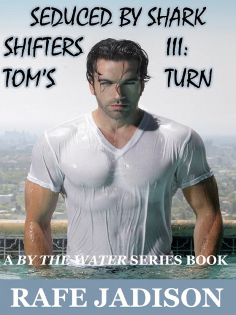 Cover image for book Tom's Turn