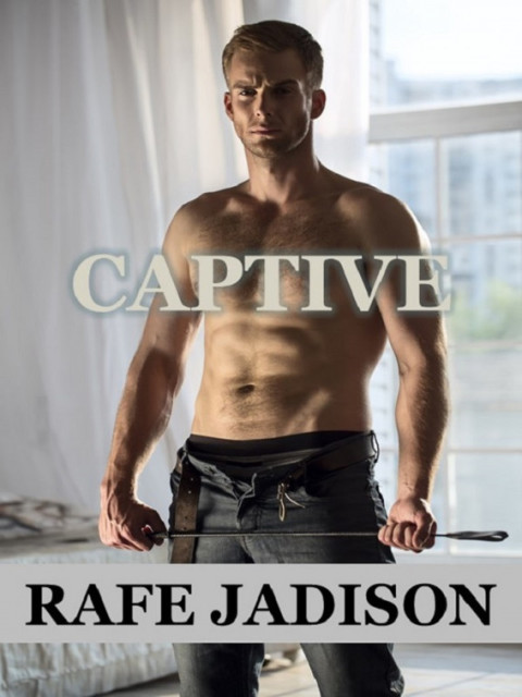 Cover image for book Captive