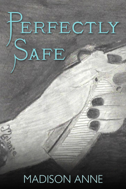 Cover image for book Perfectly Safe