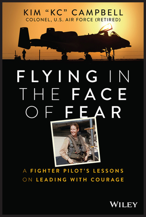 Cover image for book Flying in the Face of Fear