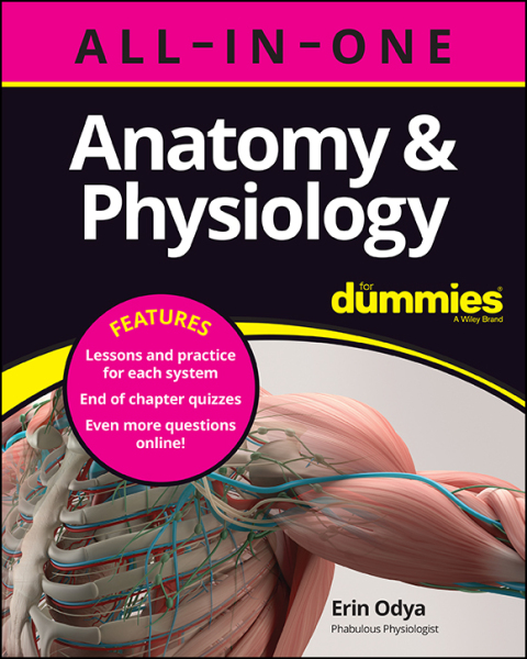 Cover image for book Anatomy & Physiology All-in-One For Dummies (  Chapter Quizzes Online)