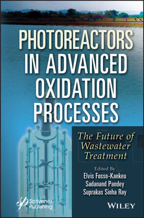 Cover image for book Photoreactors in Advanced Oxidation Process