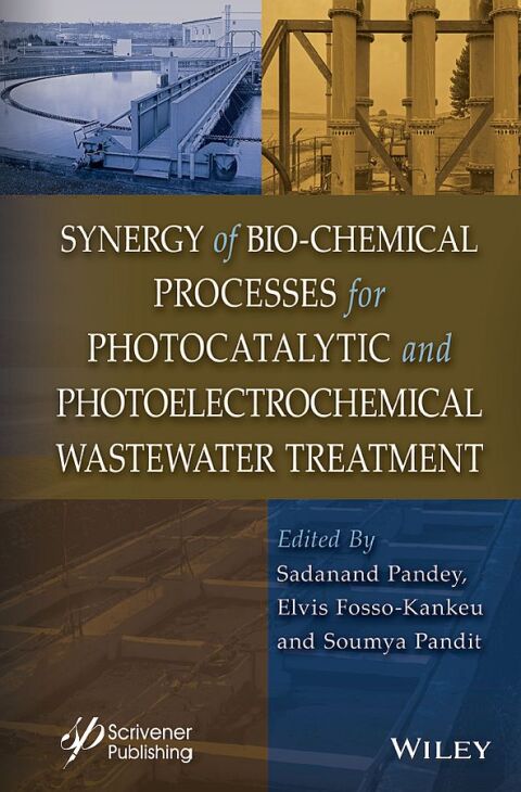 Cover image for book Synergy of Bio-Chemical Processes for Photocatalytic and Photoelectrochemical Wastewater Treatment