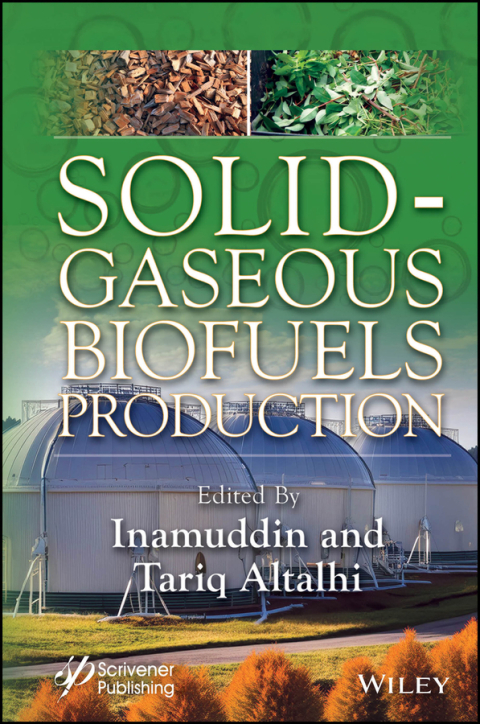 Solid-Gaseous Biofuels Production 