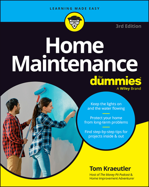 Home Maintenance For Dummies 