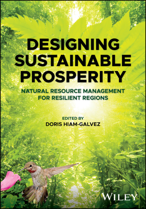 Cover image for book Designing Sustainable Prosperity
