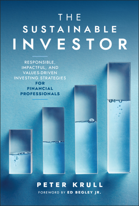 Cover image for book The Sustainable Investor