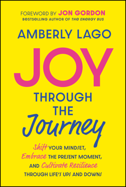 Cover image for book Joy Through the Journey