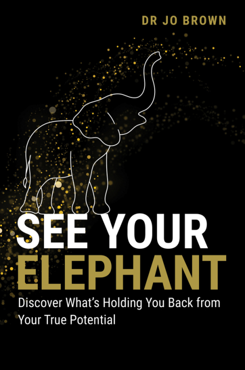 Cover image for book See Your Elephant