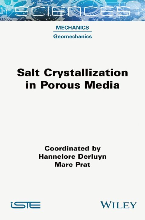 Cover image for book Salt Crystallization in Porous Media