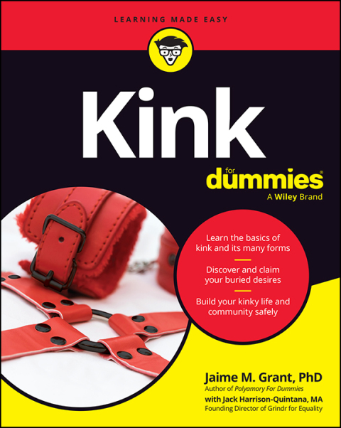Cover image for book Kink For Dummies