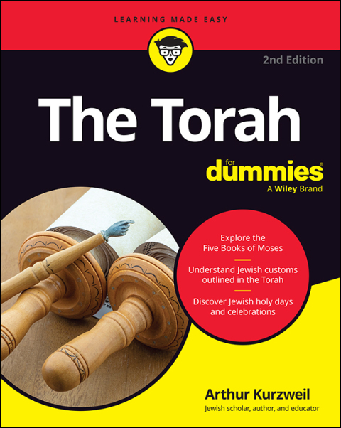 Cover image for book The Torah For Dummies