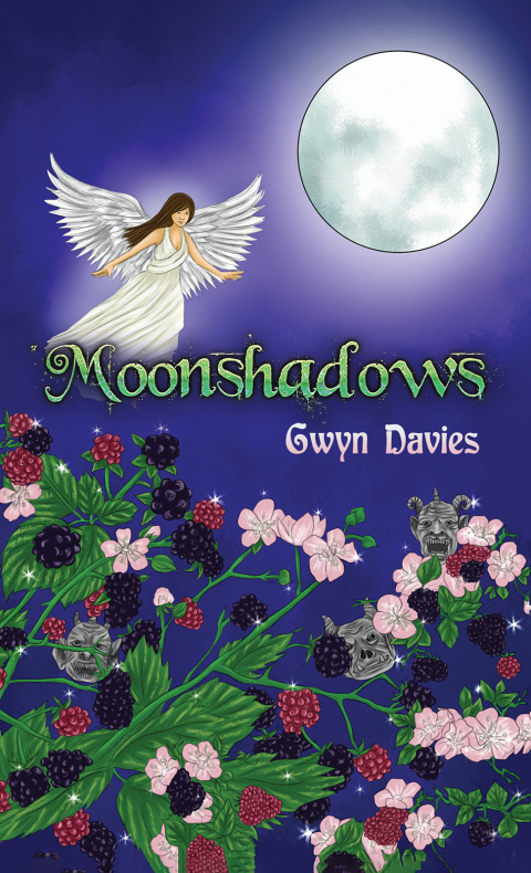 Moonshadows 