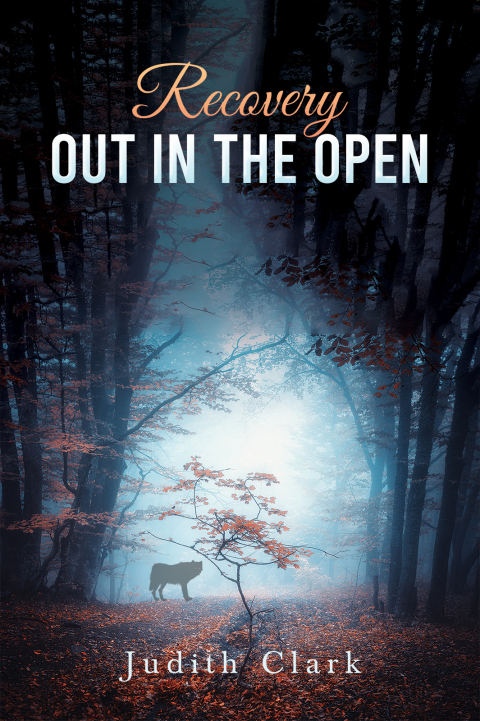 Recovery: Out in the Open 