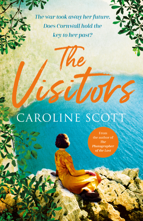 Cover image for book The Visitors