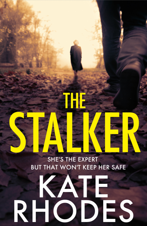 Cover image for book The Stalker